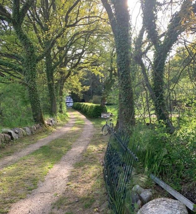 Wassermuehle Triglitz - Alleinlage Fuer Retreats, Workshops, Family & Friends Bagian luar foto