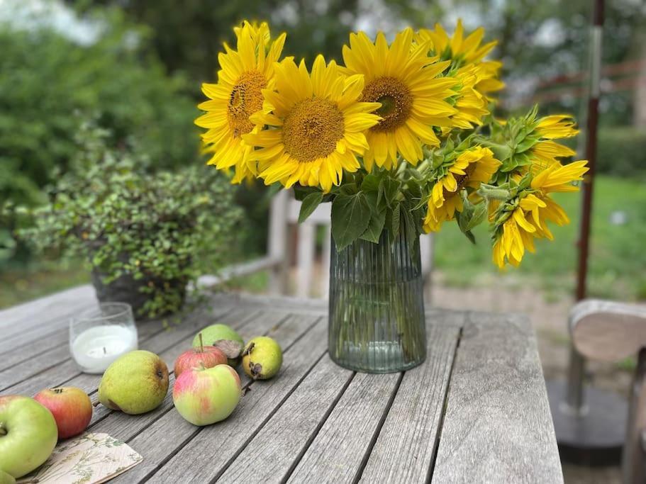 Wassermuehle Triglitz - Alleinlage Fuer Retreats, Workshops, Family & Friends Bagian luar foto